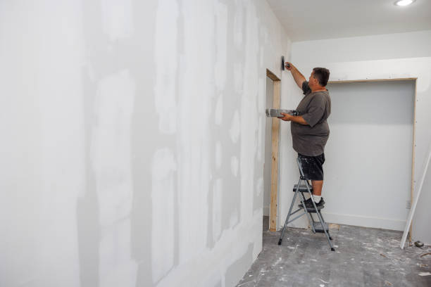 Best Repainting for Renovations  in USA